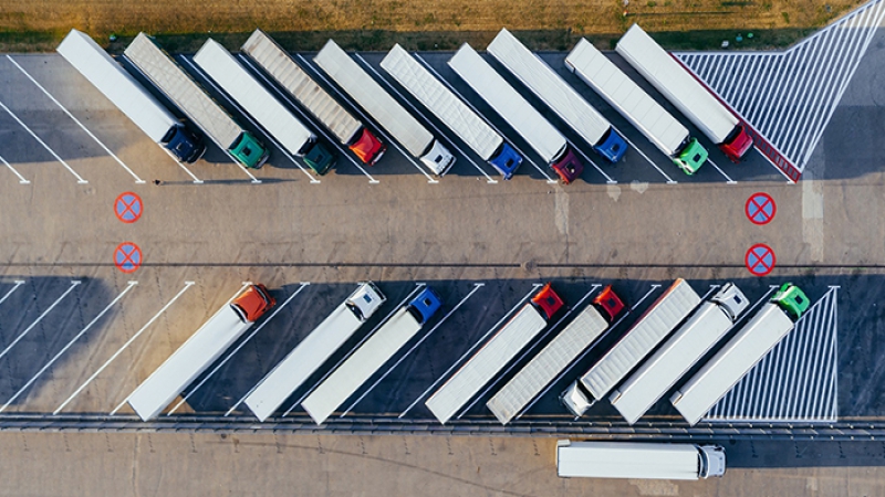 Road Transport Service